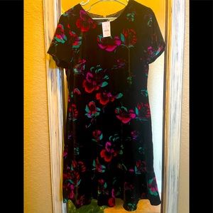 Brand New Luxurious Velvet J Crew Dress